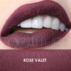 FOCALLURE Matte Lipgloss Sexy Liquid Lip Gloss Matte Long Lasting Waterproof Cosmetic Beauty Keep 24 Hours Makeup lips